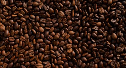 Mike Kenneally TD4DBagg2wE Unsplash